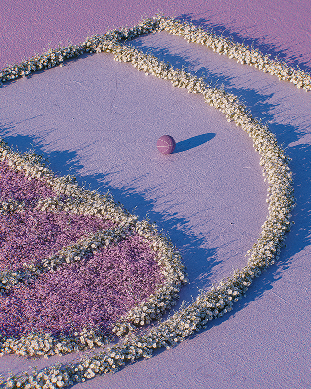 Basketball Court Flowers