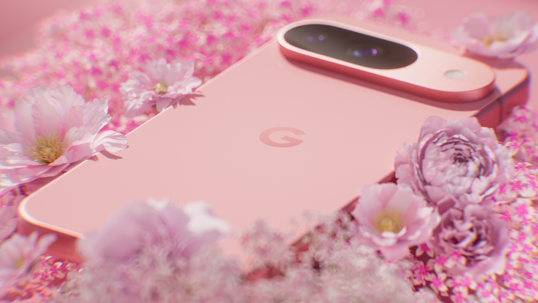Google Pixel 9 x MOLI